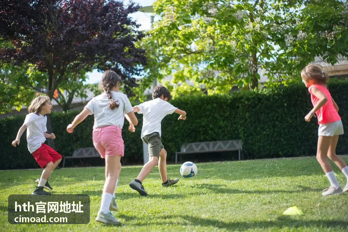 hth官网地址个人账户登录入口引导